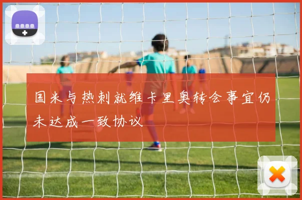 国米与热刺就维卡里奥转会事宜仍未达成一致协议